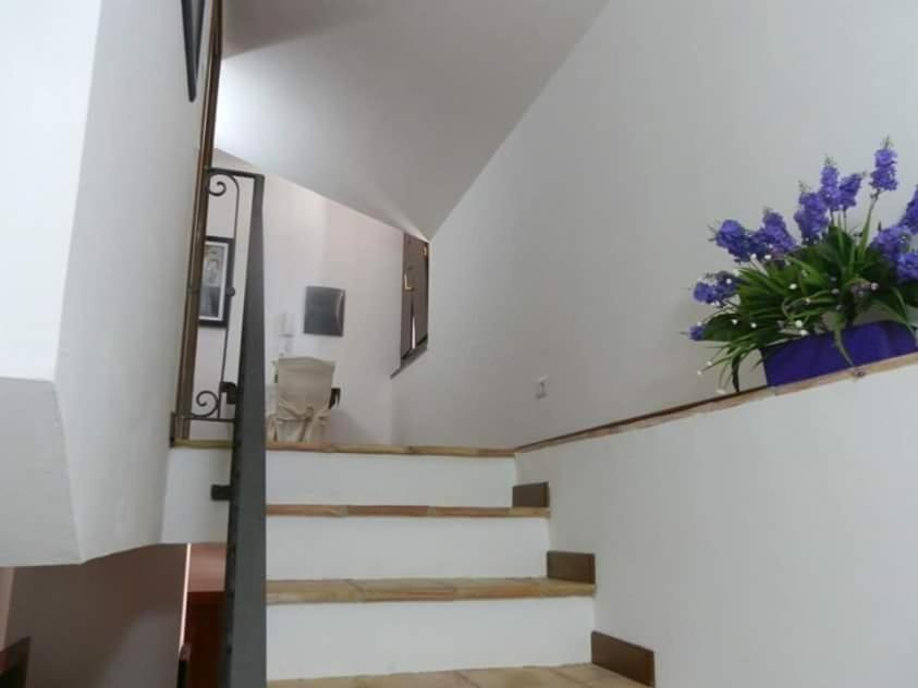Agriturismo Ai Monaci Montano Antilia Eksteriør billede